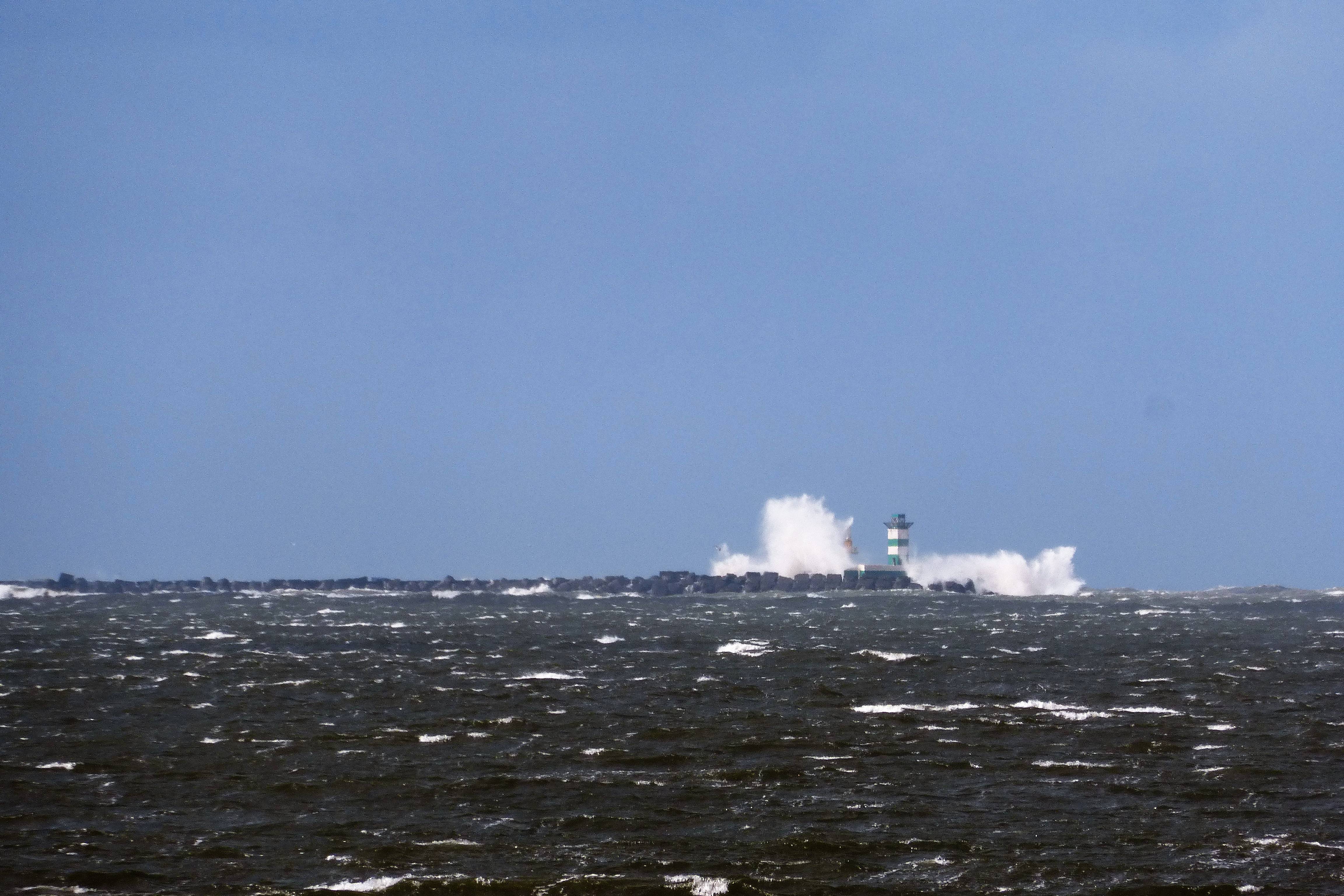 Pieren IJmuiden   11-03-19 